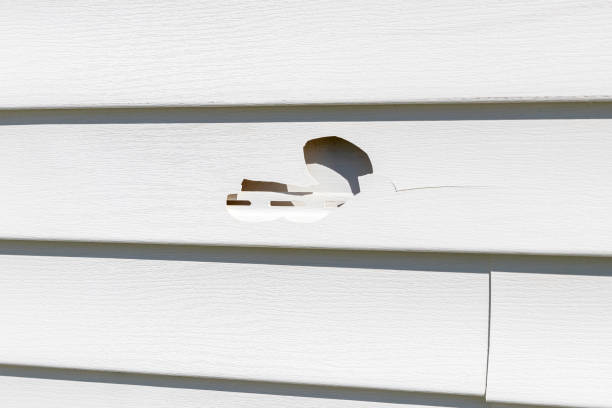 Professional Siding Installation in Oakley, UT